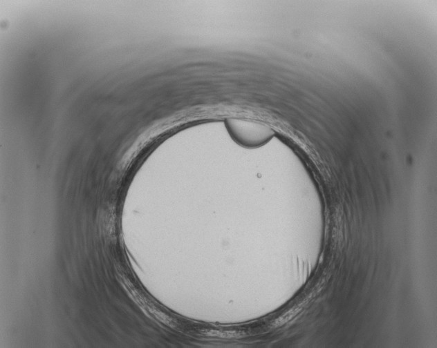 X0000086291499200704271749