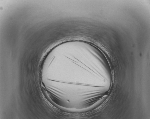 X0000086291500200704271749