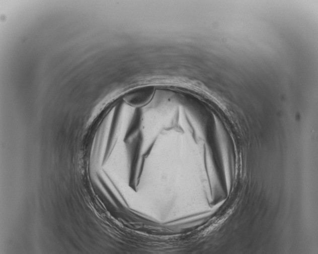 X0000086291501200704271749