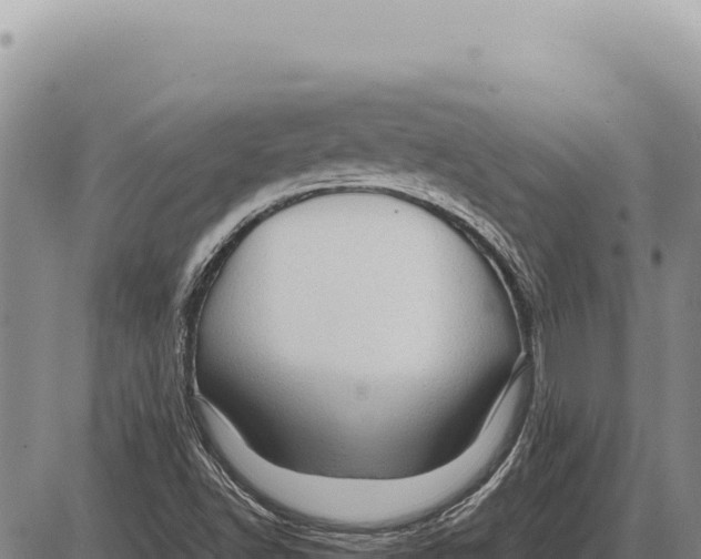 X0000086291502200704271749