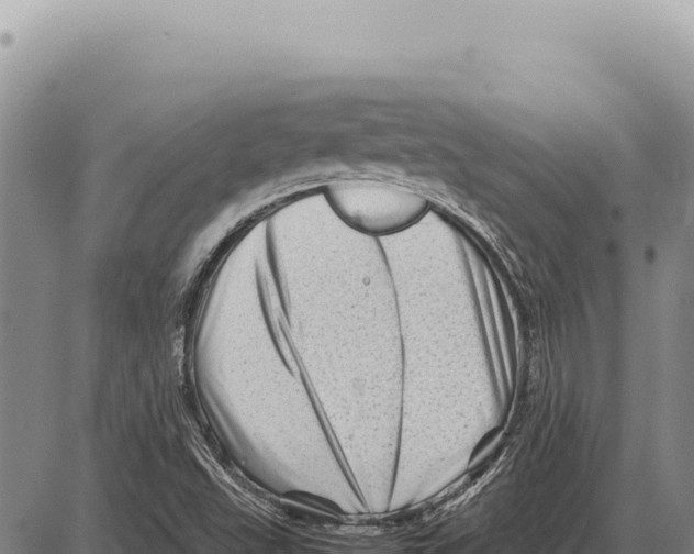 X0000086291503200704271749