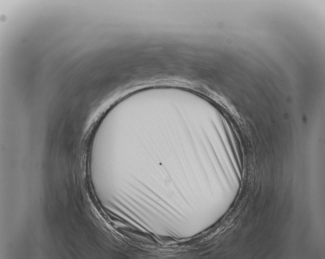 X0000086291504200704271749