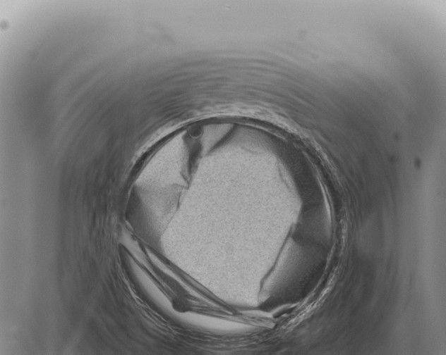 X0000086291505200704271749