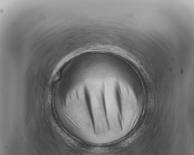 X0000086291506200704271749