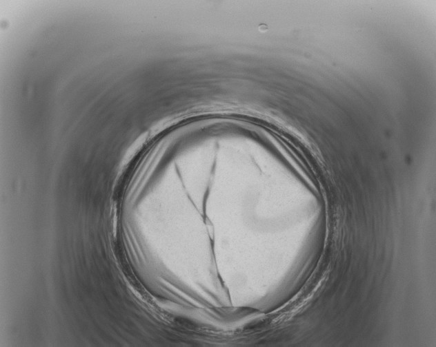 X0000086291509200704271749