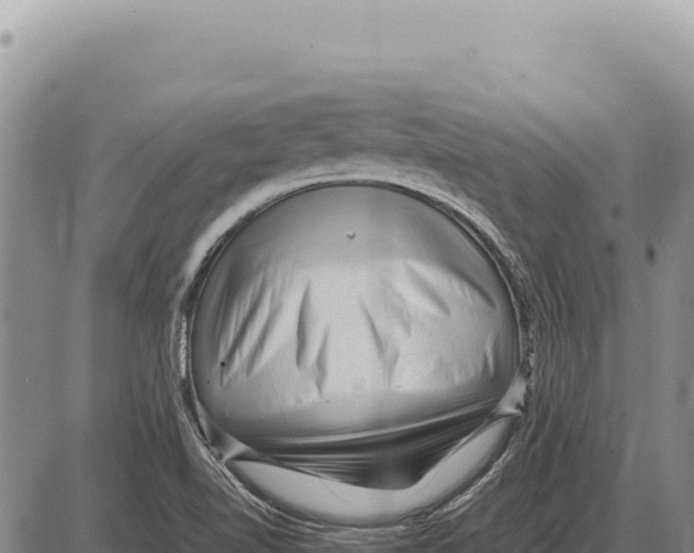 X0000086291510200704271749