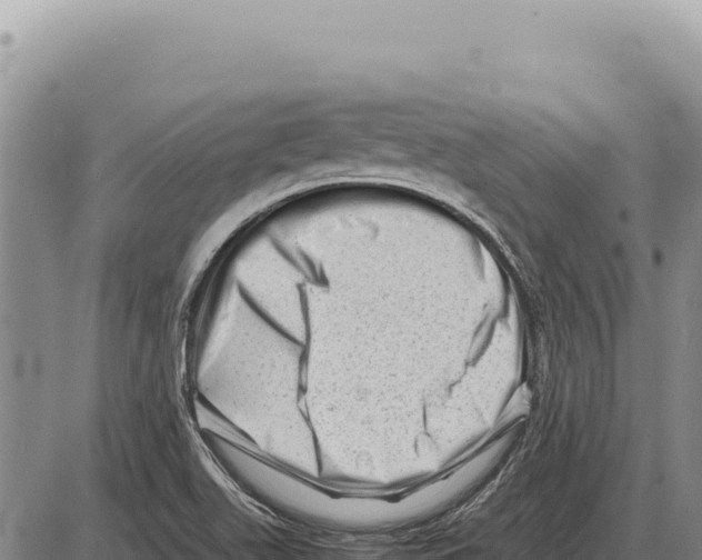 X0000086291511200704271749