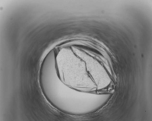 X0000086291512200704271749