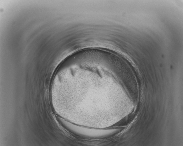 X0000086291513200704271749