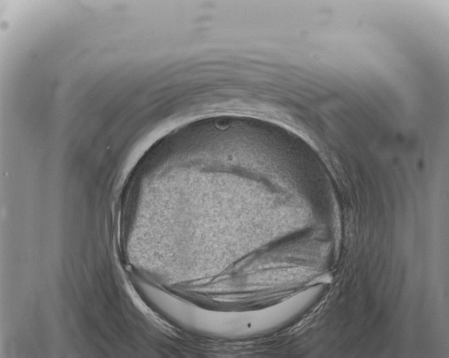 X0000086291515200704271749