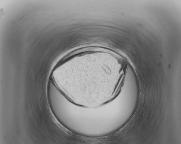 X0000086291516200704271749