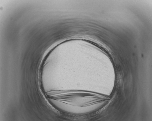 X0000086291517200704271749