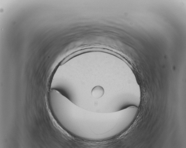 X0000086291518200704271749