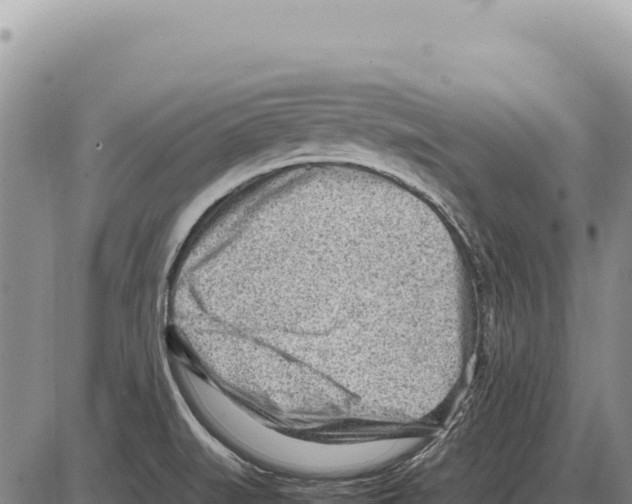 X0000086291519200704271749