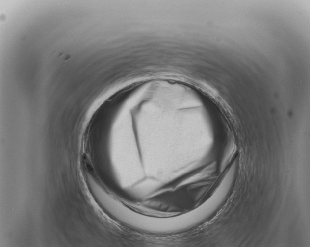 X0000086291520200704271749