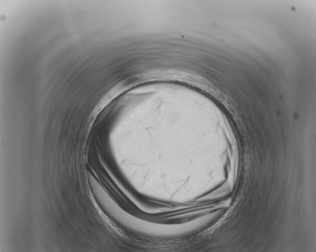 X0000086291521200704271749