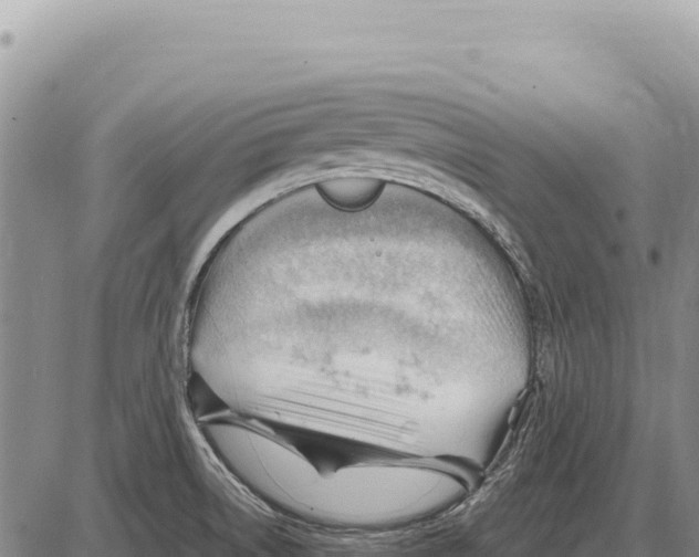 X0000086291522200704271749