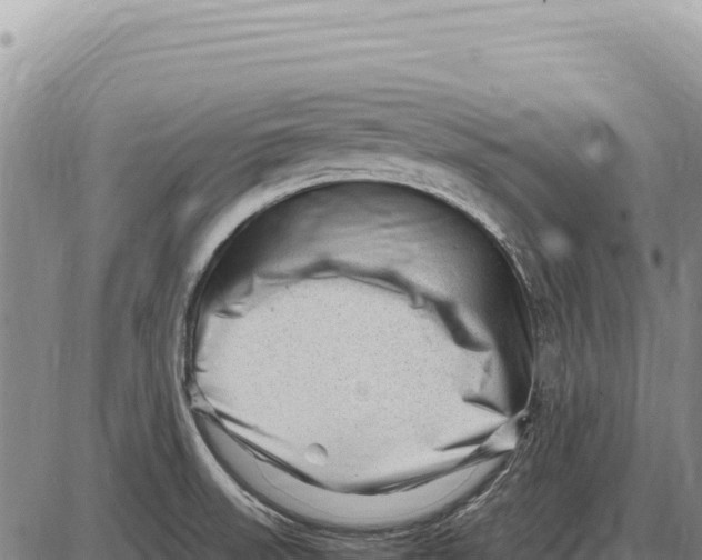 X0000086291523200704271749