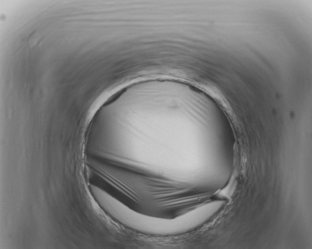 X0000086291524200704271749