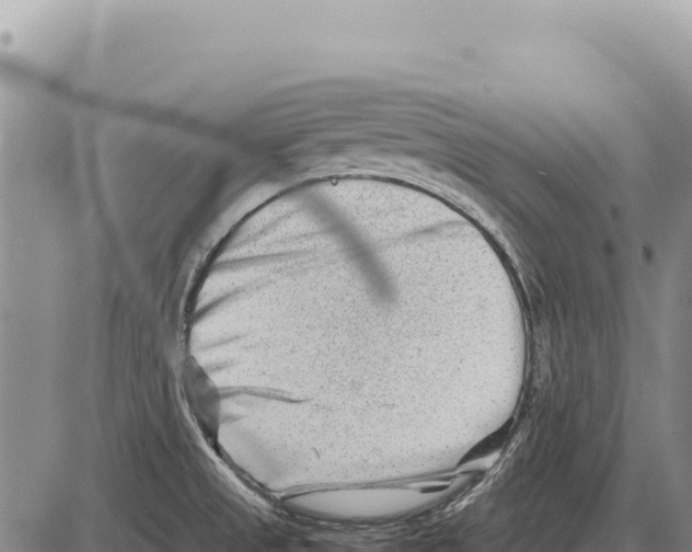 X0000086291525200704271749