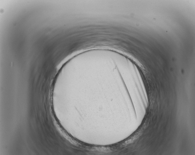 X0000086291526200704271749