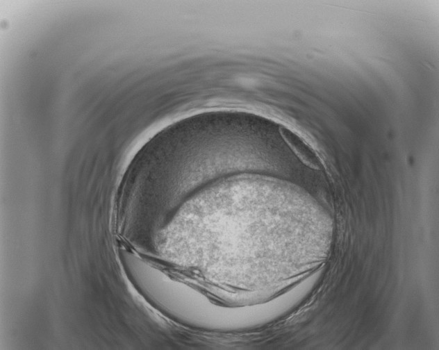 X0000086291527200704271749