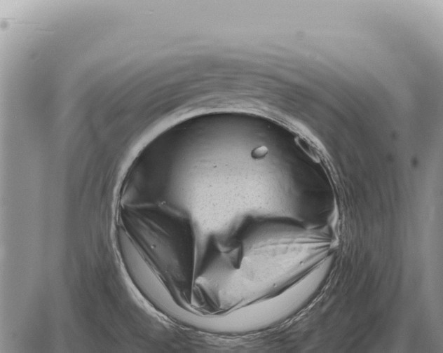 X0000086291528200704271749