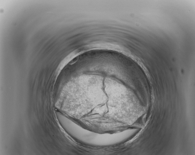 X0000086291529200704271749