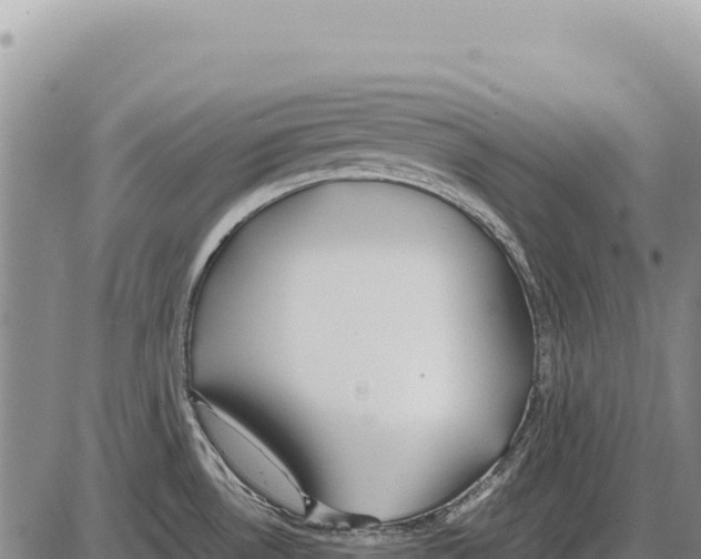 X0000086291530200704271749