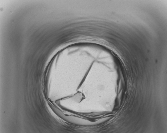 X0000086291531200704271749