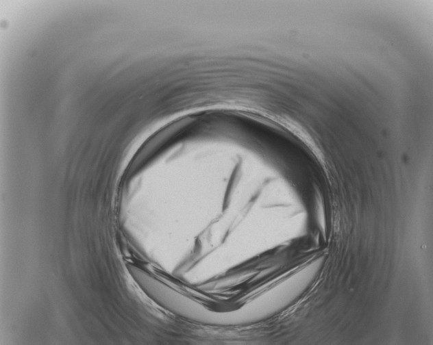 X0000086291532200704271749