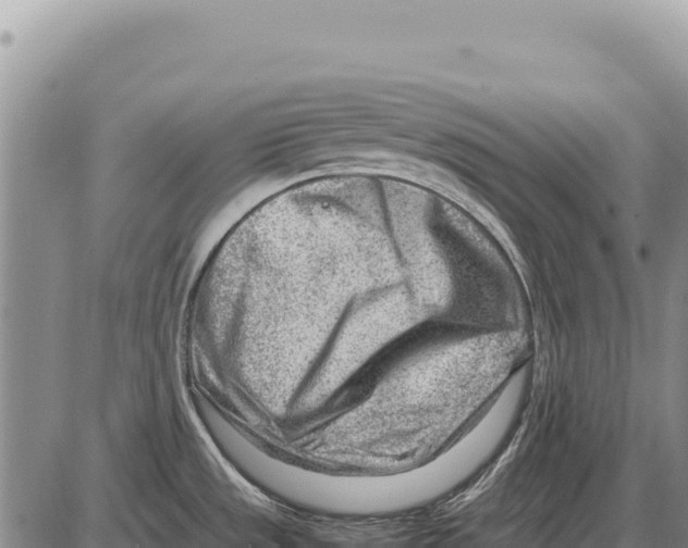 X0000086291533200704271749