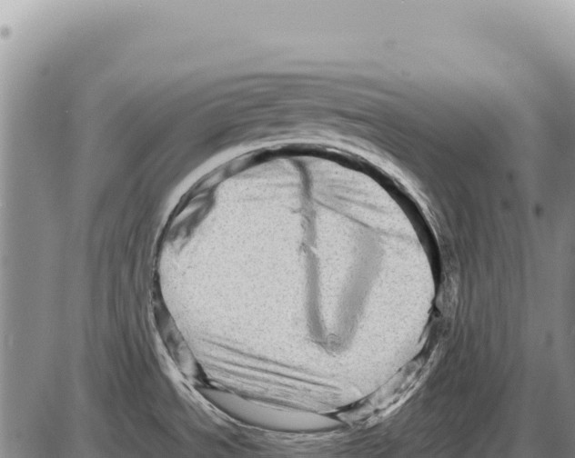 X0000086291534200704271749