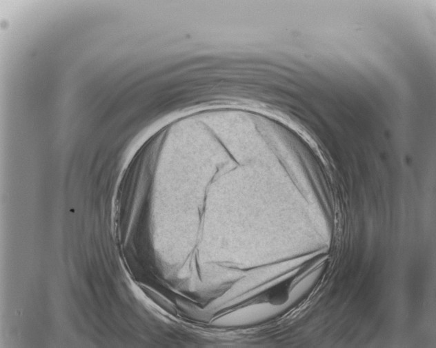 X0000086291535200704271749