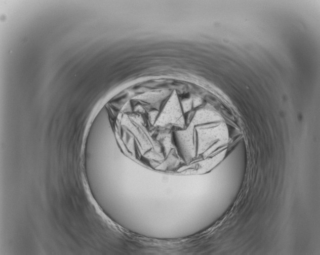 X0000086291536200704271749