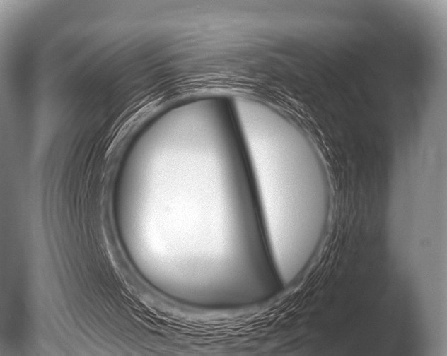 X0000086300001200703300941