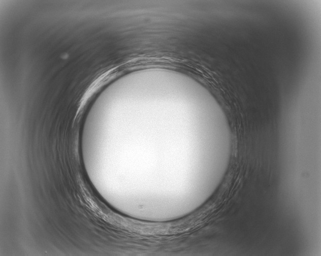 X0000086300004200703300941