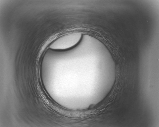 X0000086300006200703300941