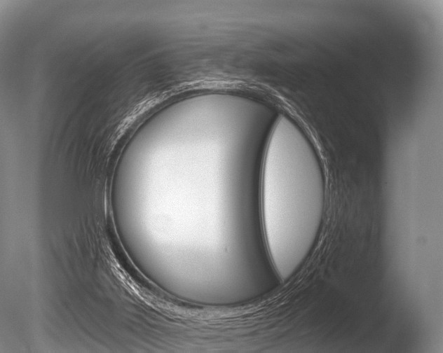 X0000086300011200703300941