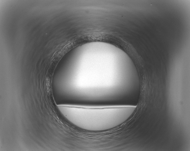 X0000086300025200703300940