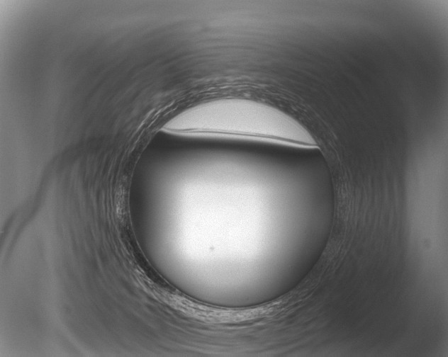 X0000086300035200703300940