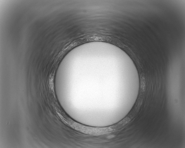 X0000086300036200703300940
