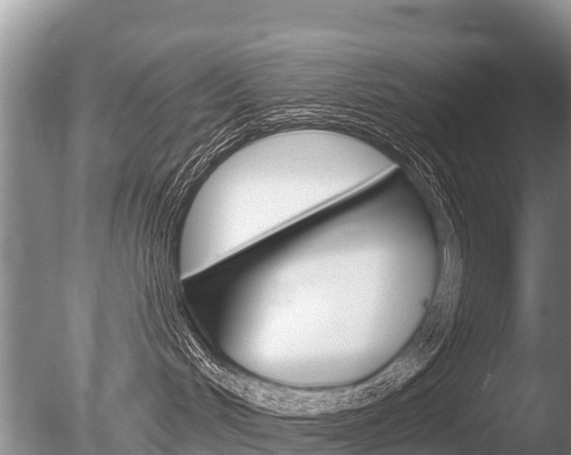 X0000086300048200703300940