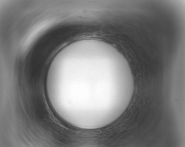 X0000086300052200703300939