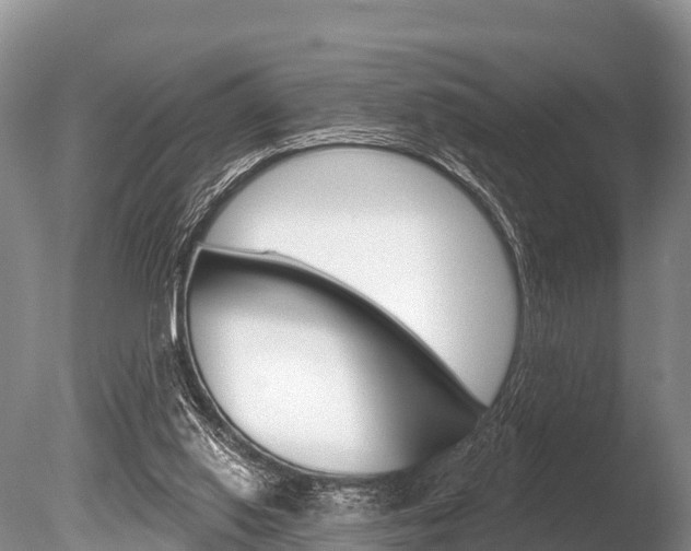 X0000086300062200703300939