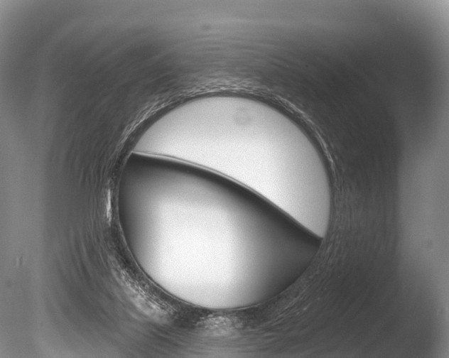 X0000086300067200703300939