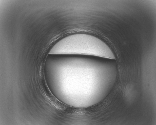 X0000086300071200703300939
