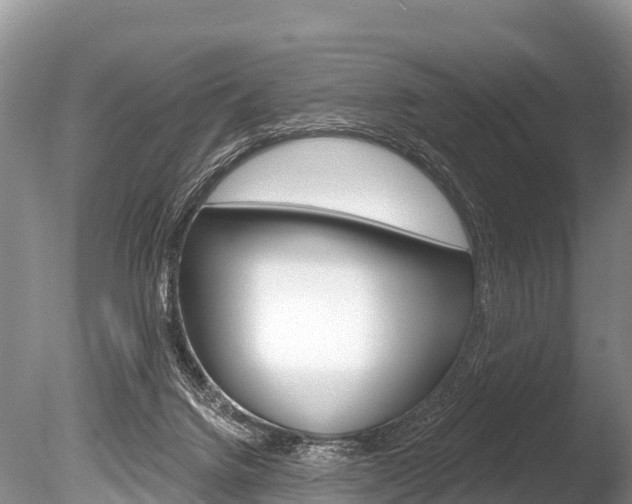 X0000086300072200703300939