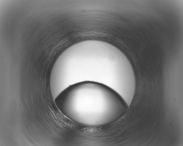 X0000086300074200703300939