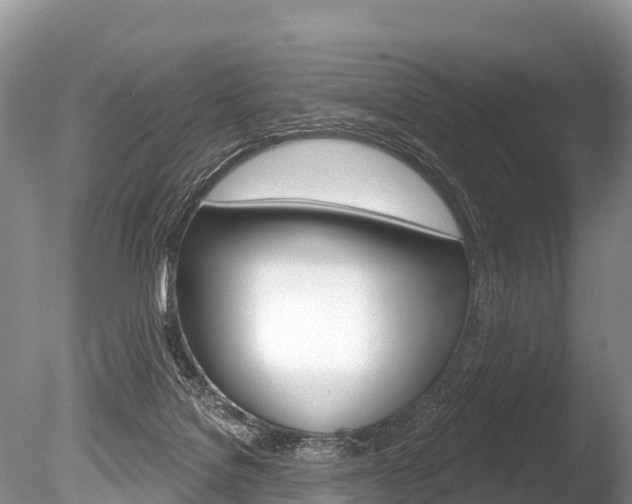 X0000086300076200703300940